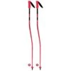 Rossignol Hero GS Ski Pole - Kids