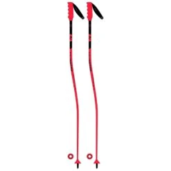 Rossignol Hero GS Ski Pole - Kids