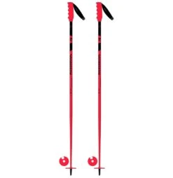 Rossignol Hero SL Ski Pole - Kids