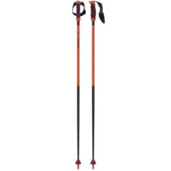 Atomic Redster Carbon Sqs Ski Poles