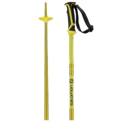 Salomon Arctic Ski Poles -Fisscher Sport Arcticyellow