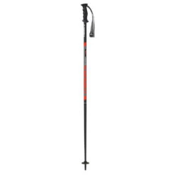 Masters Builder Ski Pole