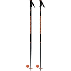Speed Ski Pole