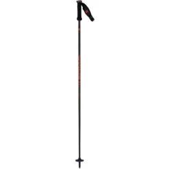 Vector Hybrid 12 Ski Pole