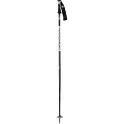 Vector 4 Ski Pole