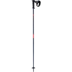 Salomon Icon S3 Ski Poles - Womens