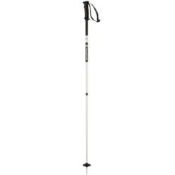Salomon X North Ski Pole