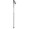 Salomon Northpole Ski Pole - Womens
