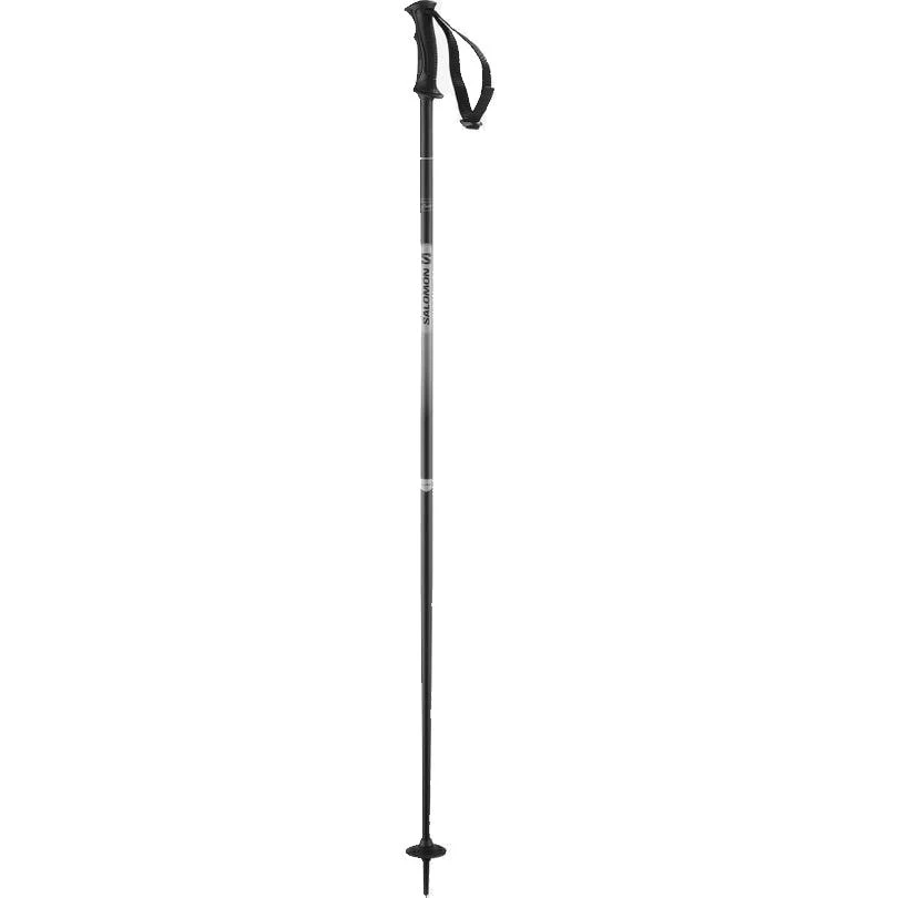 Salomon Northpole Ski Pole - Womens 1 Salomon Northpole Ski Pole - Womens