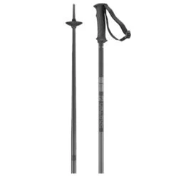 Salomon Arctic Ski Poles