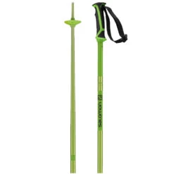 Salomon Arctic Ski Poles -Fisscher Sport arcticgreen