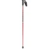 Masters Racing SL Carbon Ski Pole