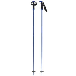 Atomic Amt Sqs Ski Poles